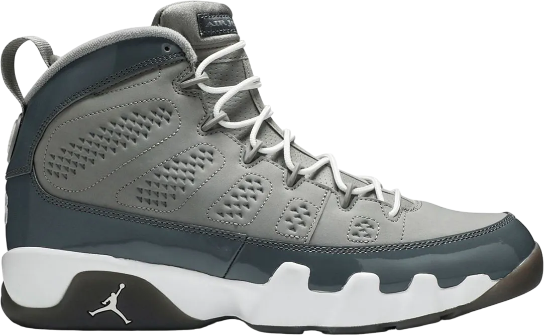 Air Jordan 9  Cool Grey 