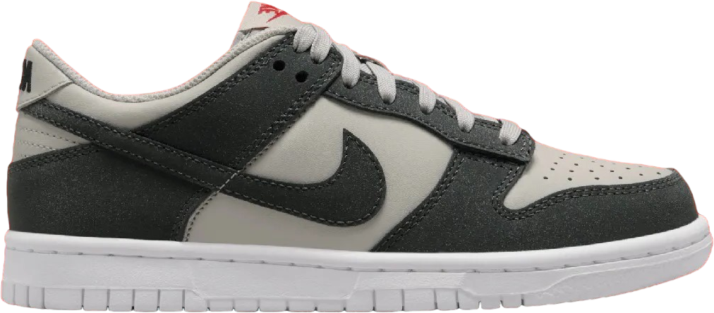 Nike Dunk Low  Anthracite 