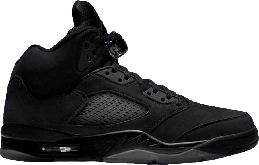 Air Jordan 5 Black Cat